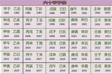 乙巳年五行|乙巳年五行属性 乙巳年是哪一年生肖